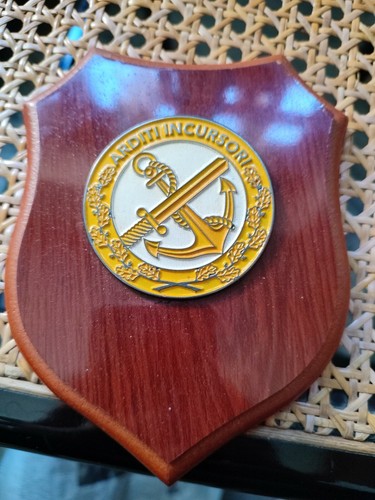 Crest arditi incursori