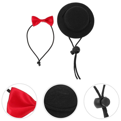 Abbigliamento gatto cappello