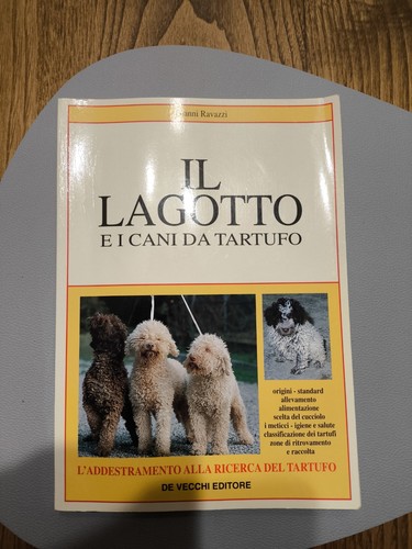 Lagotto cani da - il,