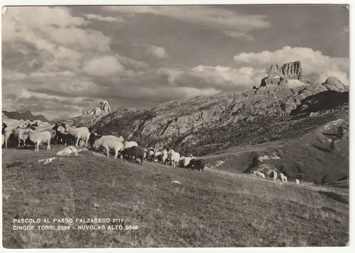 Pascolo passo falzarego - pascolo, al