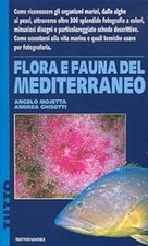 FLORA E FAUNA DEL MEDITERRANEO Mojetta Ghisotti MONDADORI