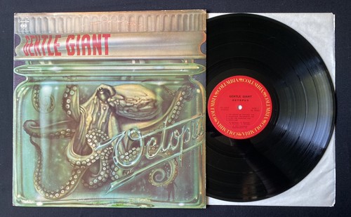 Gentle giant octopus - giant,