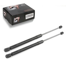 2 molle a gas portellone