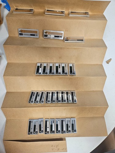 Hohner corona fbe - corona,
