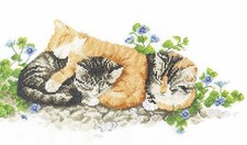 SCHEMA PUNTO CROCE GATTI