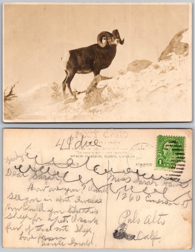 Cartolina fotografica rppc big - rppc,