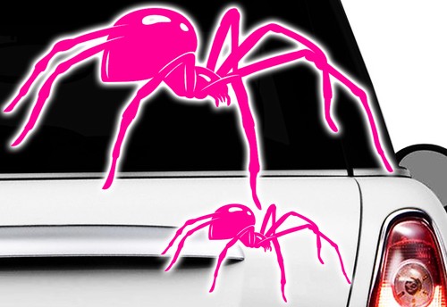Spider spinnen - 1x,