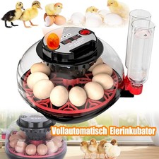 Incubatrice incubatrice incubatrice completamente automatica incubatrice pulcini