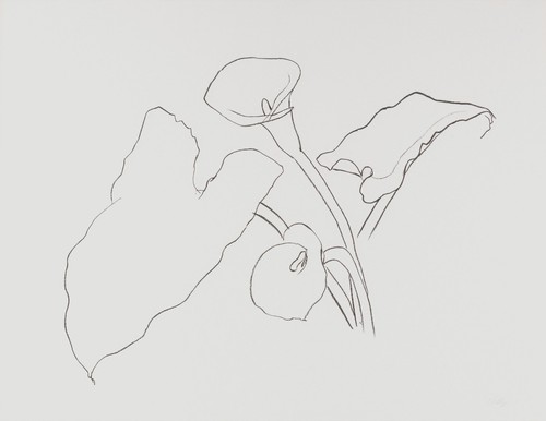 Stampa fine art ellsworth - stampa,