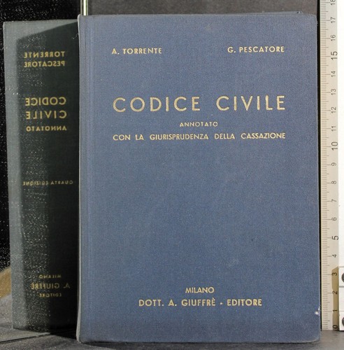 Codice civile torrente - civile.,