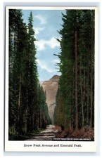 Postcard Snow Peak Avenue and