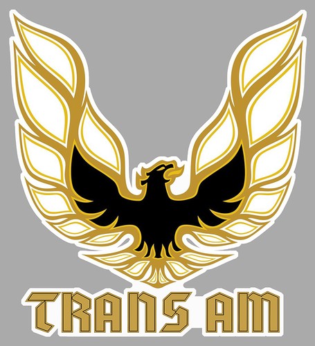Pontiac trans sticker - am,