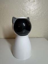 Carino gatto laser interattivo - gatto,