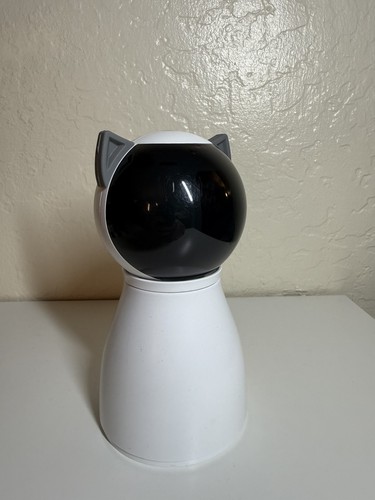 Carino gatto laser interattivo - carino,