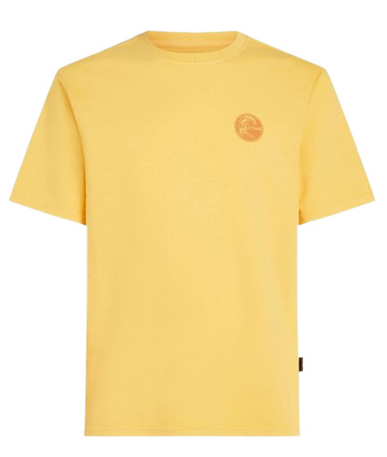 Shirt neill original - t-shirt, o'neill