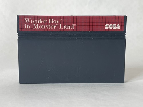 Wonder boy monster land - boy, in