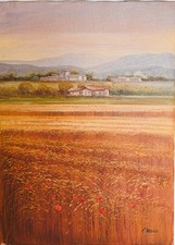 Olio su Tela  - Campo Fiorito - Pittore Basco - Vintage 50*70