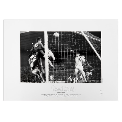 David webb foto - webb,