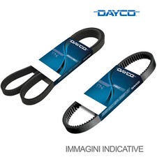 Cinghia Poly-V Dayco per