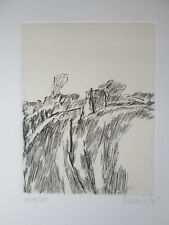 ARNOLDO CIARROCCHI ACQUAFORTE ORIGINALE FIRMATA E NUMERATA C6