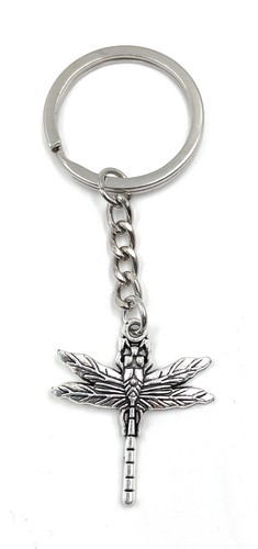 Insetto libellula - insetto,