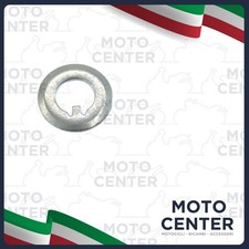 RONDELLA PIGNONE CAMPANA