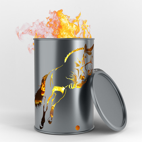 Bidone fuoco cavallo da - bidone,