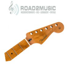 Fender Stratocaster in acero