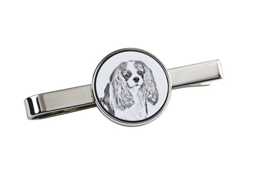Cavalier king charles spaniel - king,