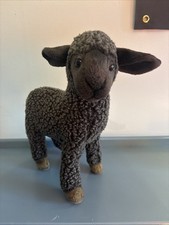Teddy agnello Kansa