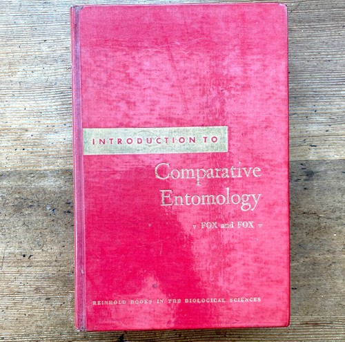 Introduction comparative - introduction, to