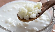 Latte Biologico Vivo Kefir