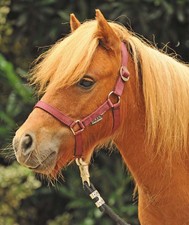 Capezza in nylon per cavalli