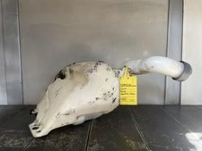 VASCHETTA TERGICRISTALLO PER SCANIA R420 Serie 1534035 Diesel (03>)