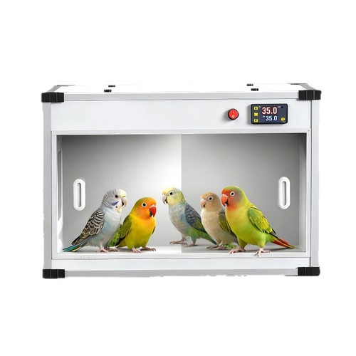 Incubatrice per uova - , 220v