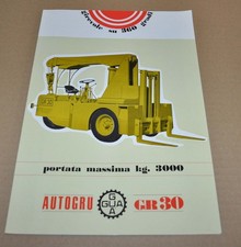 GUA Autogru GR30 Crane Truck