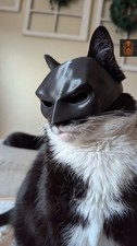 BAT CAT Batman maschera gatto