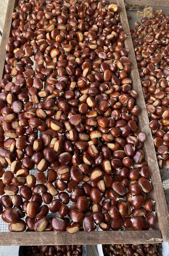 Castagne acquapartita kg - acquapartita,