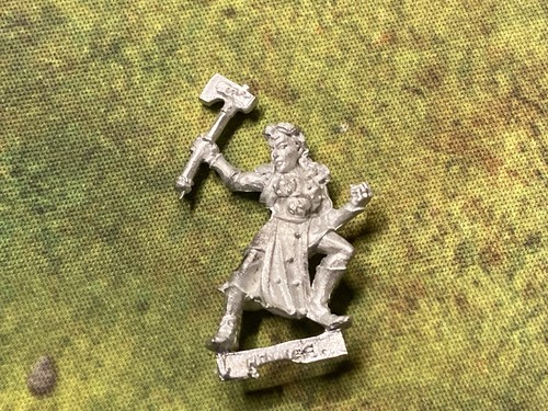 Warhammer sigmarite novice 2 - novice,