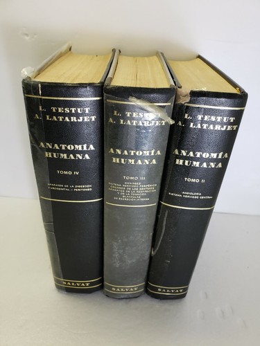 1977 anatomia humana - anatomia, (anatomy)