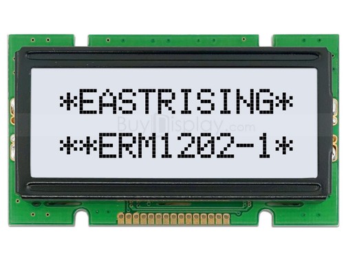 Display modulo lcd personaggio - display,