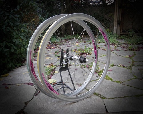 Campagnolo shamal hpw 8 - 12,