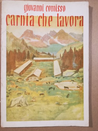 Carnia che lavora