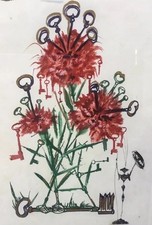 🌈 Salvador Dali “ Petite