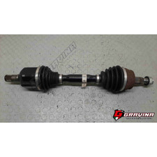 00519385900 SEMIASSE