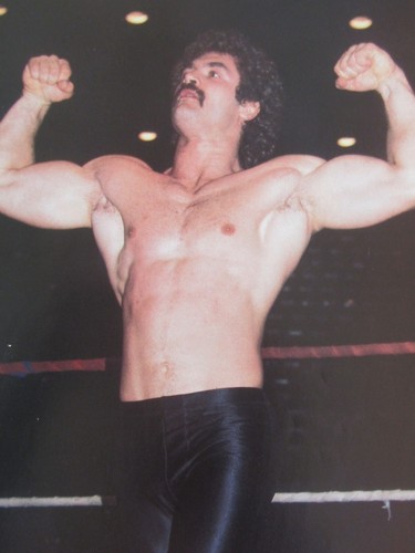 Wwf pro wrestling from - wwf,