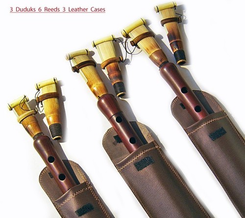Armenian pro duduk - 3,