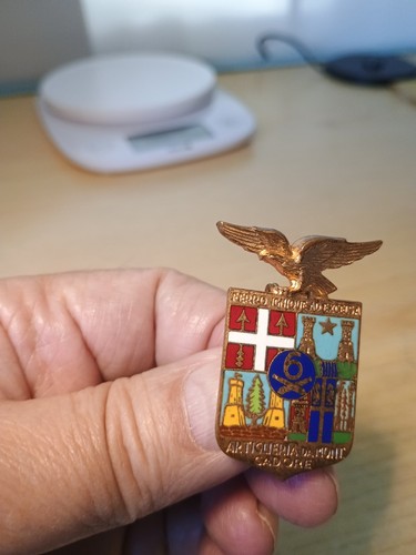 Distintivo reggimento - distintivo,
