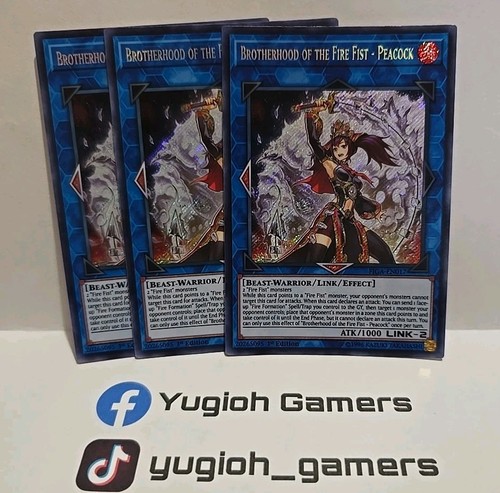 Yugioh confraternita del pugno - del,