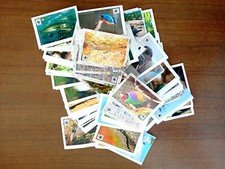 Lotto 170 figurine - Il giro del mondo in 180 animali - Coop - WWF